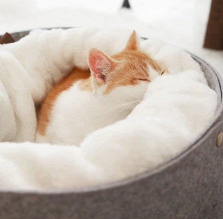 Ultra-Comfort Orthopedic Pet Bed for Better Rest