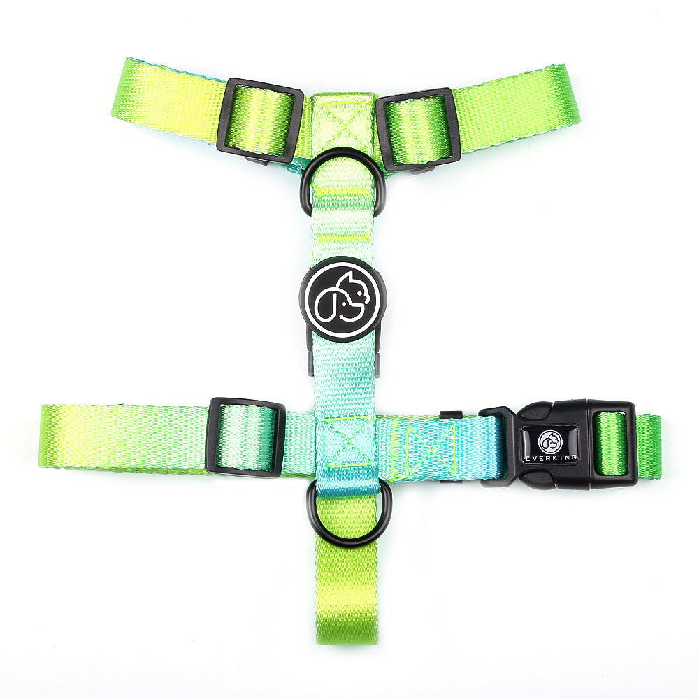 Reliable Leash for Small and Medium Pets