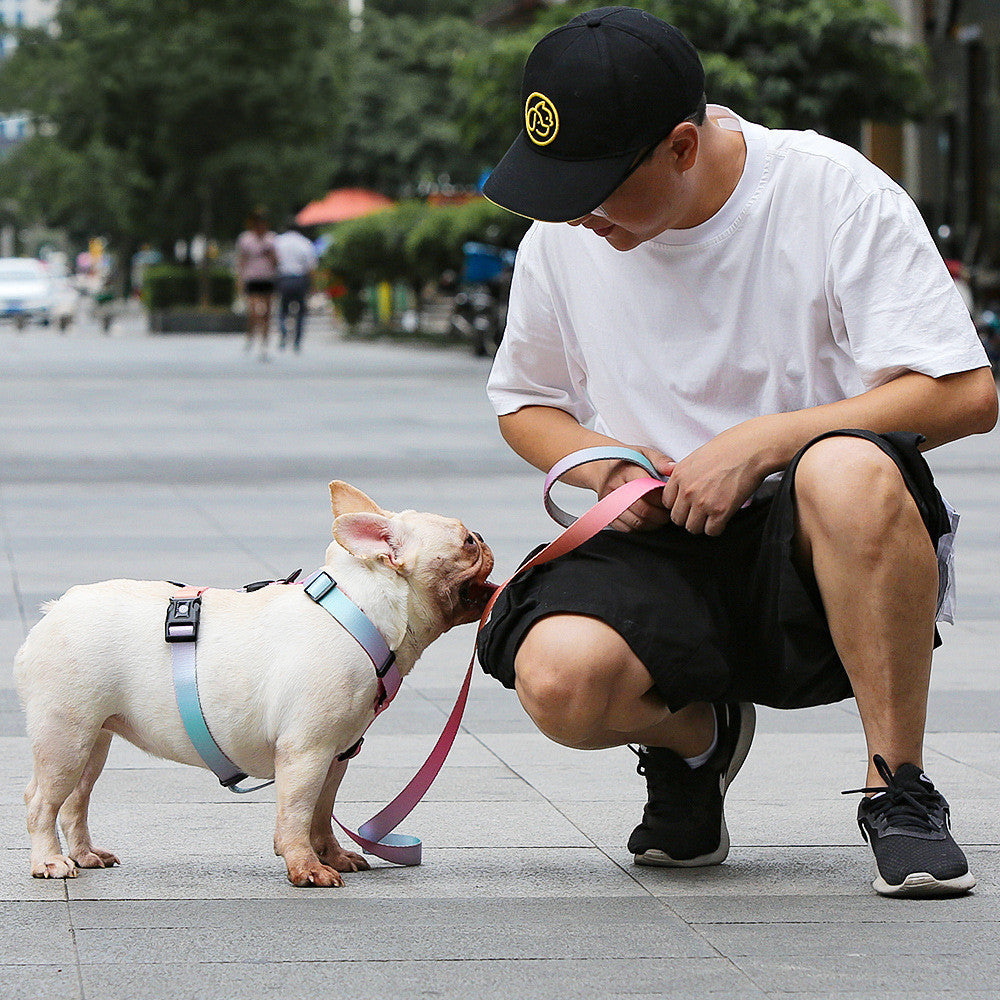 Reliable Leash for Small and Medium Pets